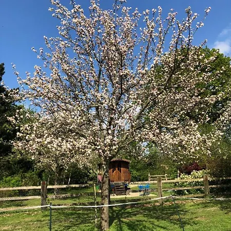 Roulotte Capucine Luxe tent *