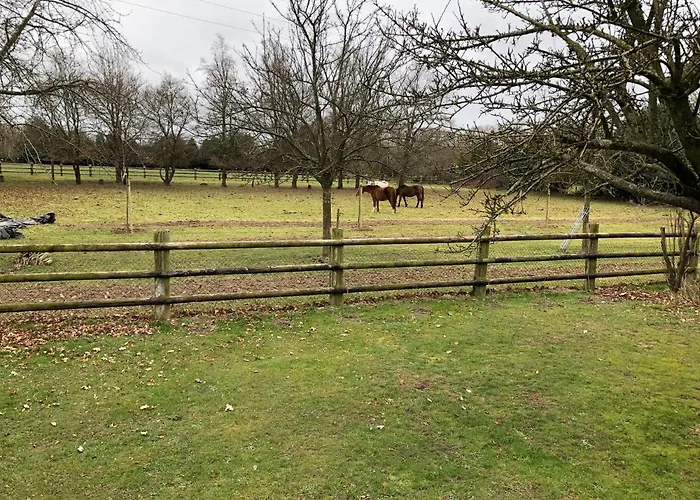 Luxe tent Roulotte Capucine *