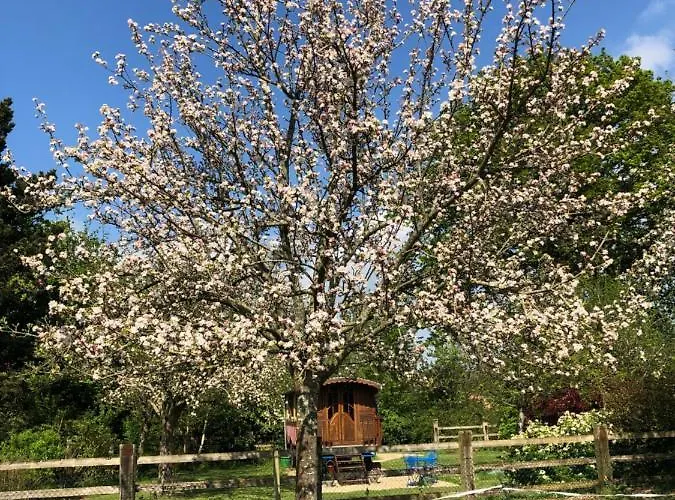 Roulotte Capucine Роскошный шатер *