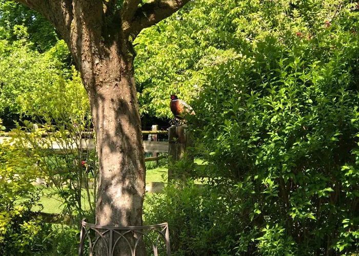 Роскошный шатер Roulotte Capucine *